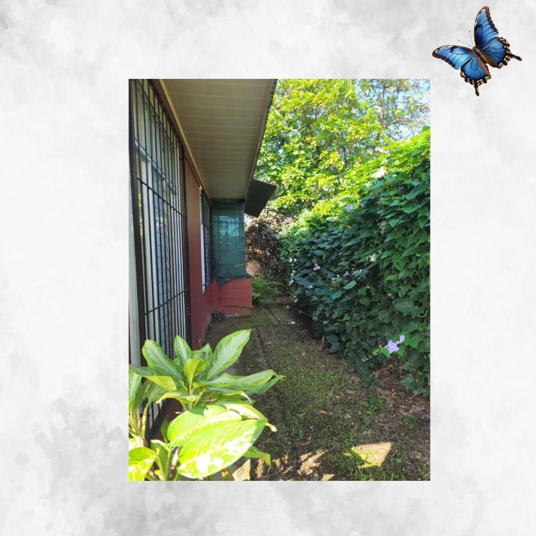Morpho Casa Vacacional Villa La Fortuna Buitenkant foto